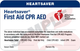 First Aid/CPR/AED 